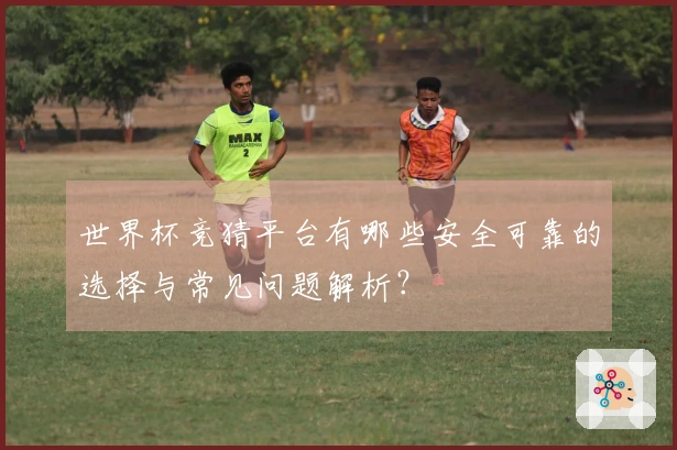 世界杯竞猜平台有哪些安全可靠的选择与常见问题解析？