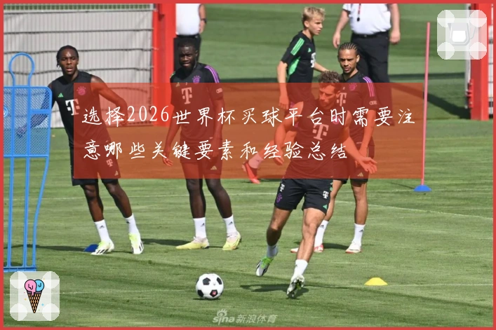 选择2026世界杯买球平台时需要注意哪些关键要素和经验总结