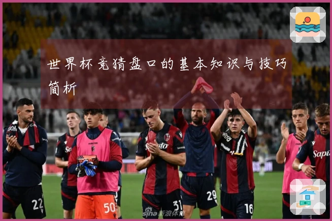 世界杯竞猜盘口的基本知识与技巧简析