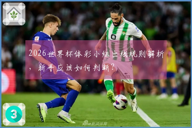 2026世界杯体彩小组出线规则解析，新手应该如何判断？