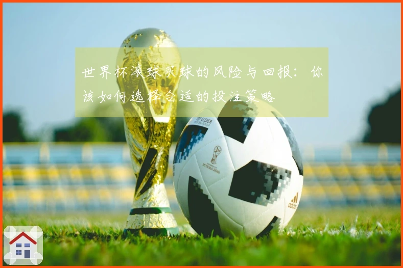 世界杯滚球买球的风险与回报：你该如何选择合适的投注策略