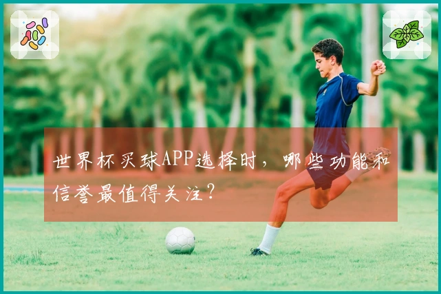 世界杯买球APP选择时，哪些功能和信誉最值得关注？