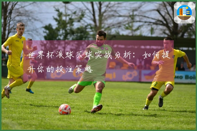 世界杯滚球买球实战分析：如何提升你的投注策略
