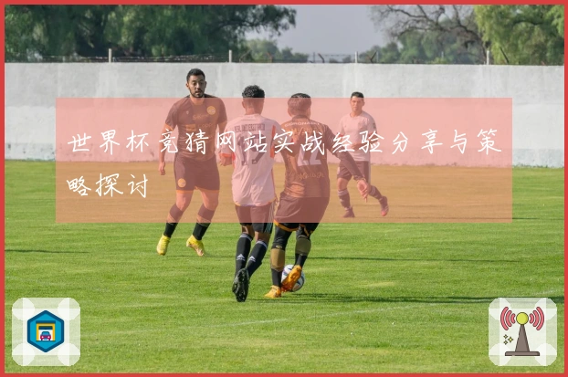 世界杯竞猜网站实战经验分享与策略探讨