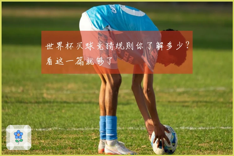 世界杯买球竞猜规则你了解多少？看这一篇就够了