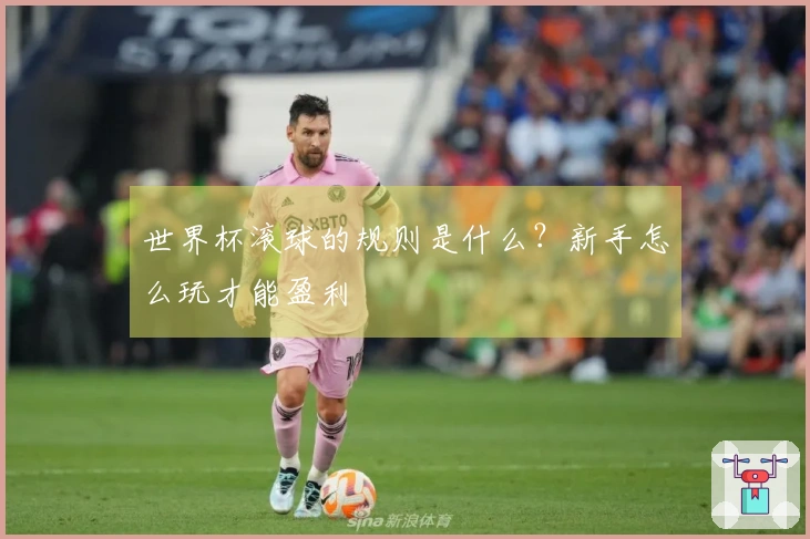 世界杯滚球的规则是什么？新手怎么玩才能盈利
