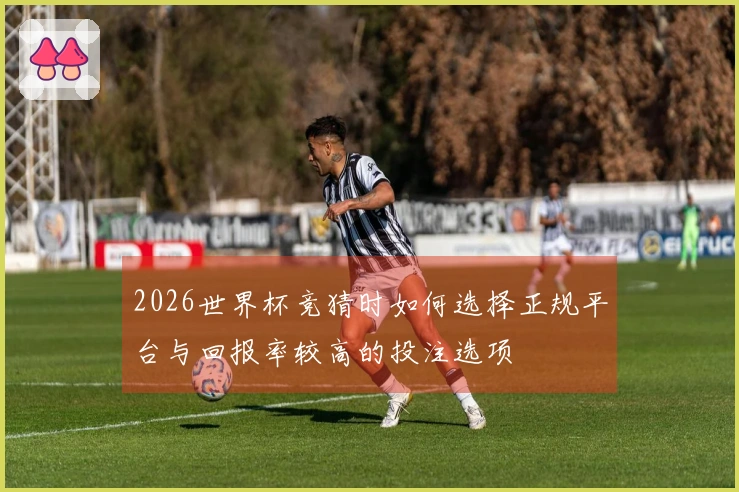 2026世界杯竞猜时如何选择正规平台与回报率较高的投注选项