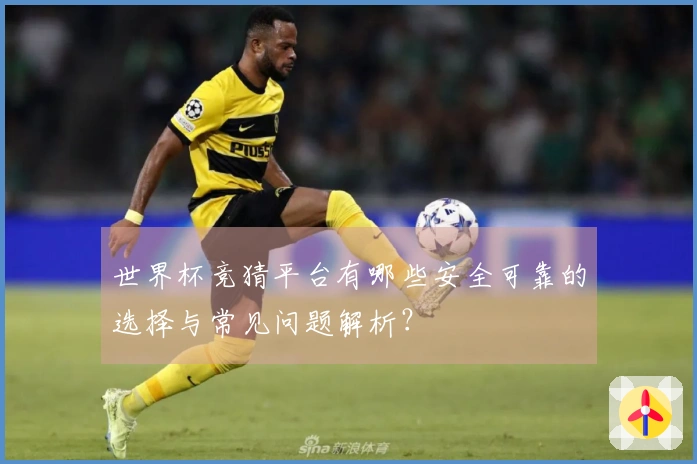 世界杯竞猜平台有哪些安全可靠的选择与常见问题解析？