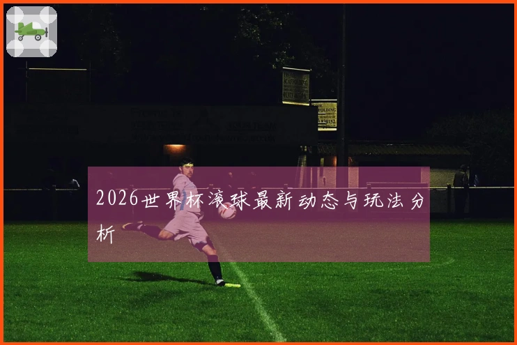 2026世界杯滚球最新动态与玩法分析