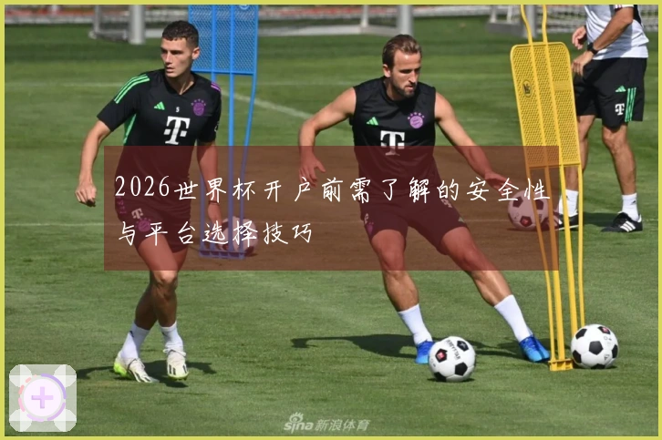 2026世界杯开户前需了解的安全性与平台选择技巧
