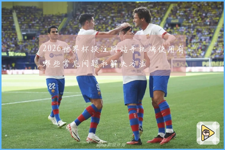 2026世界杯投注网站手机端使用有哪些常见问题和解决方法