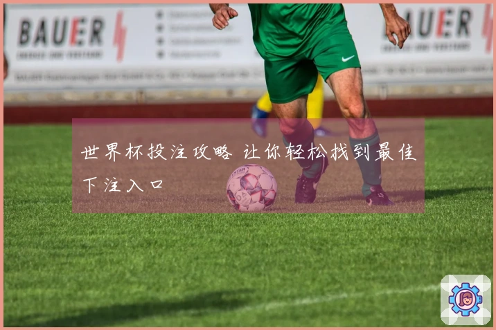 世界杯投注攻略 让你轻松找到最佳下注入口
