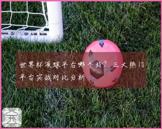 世界杯滚球平台哪个好？三大热门平台实战对比分析