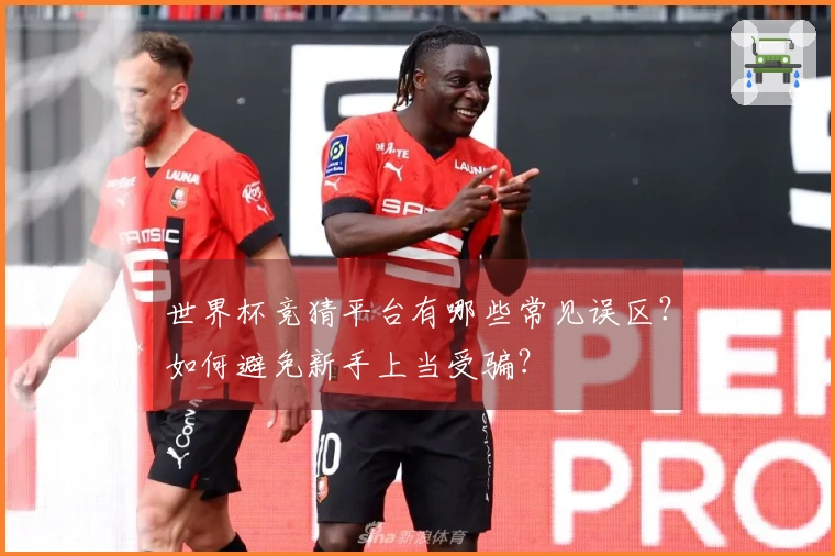 世界杯竞猜平台有哪些常见误区？如何避免新手上当受骗？