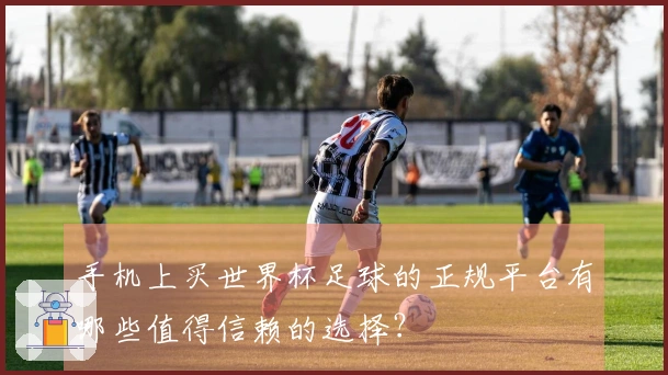 手机上买世界杯足球的正规平台有哪些值得信赖的选择？