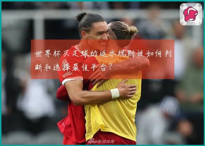 世界杯买足球的返水规则该如何判断和选择最佳平台？