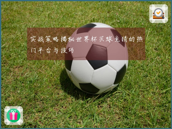 实战策略揭秘世界杯买球竞猜的热门平台与技巧