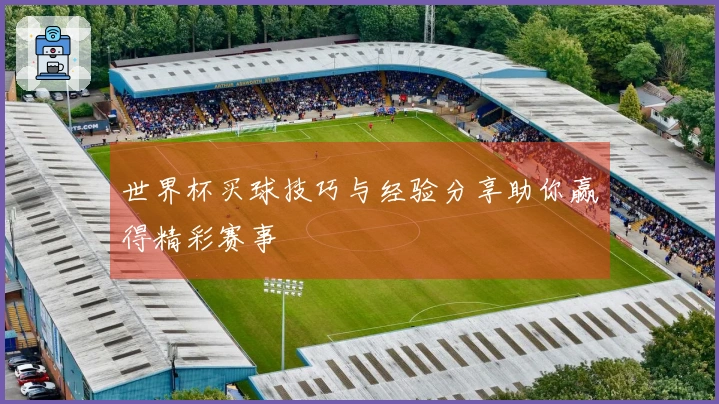 世界杯买球技巧与经验分享助你赢得精彩赛事