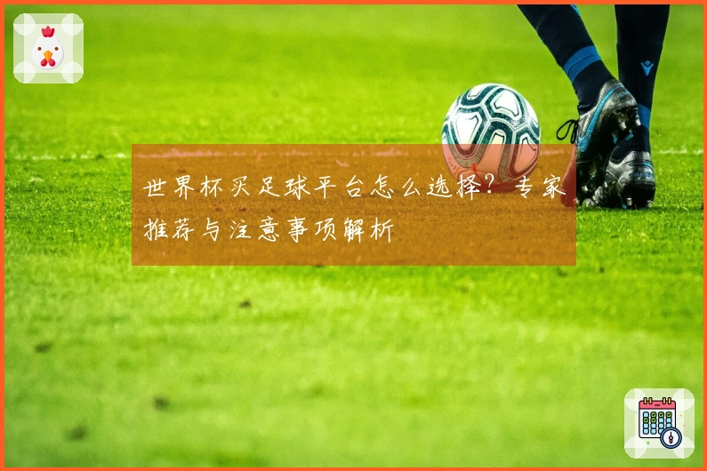 世界杯买足球平台怎么选择？专家推荐与注意事项解析