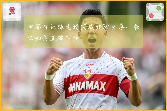 世界杯让球竞猜实战经验分享，教你如何正确下注