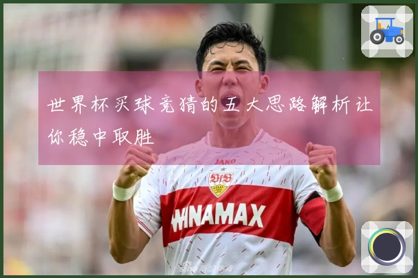 世界杯买球竞猜的五大思路解析让你稳中取胜
