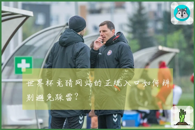 世界杯竞猜网站的正规入口如何辨别避免踩雷？
