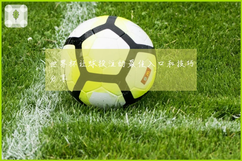 世界杯让球投注的最佳入口和技巧分享