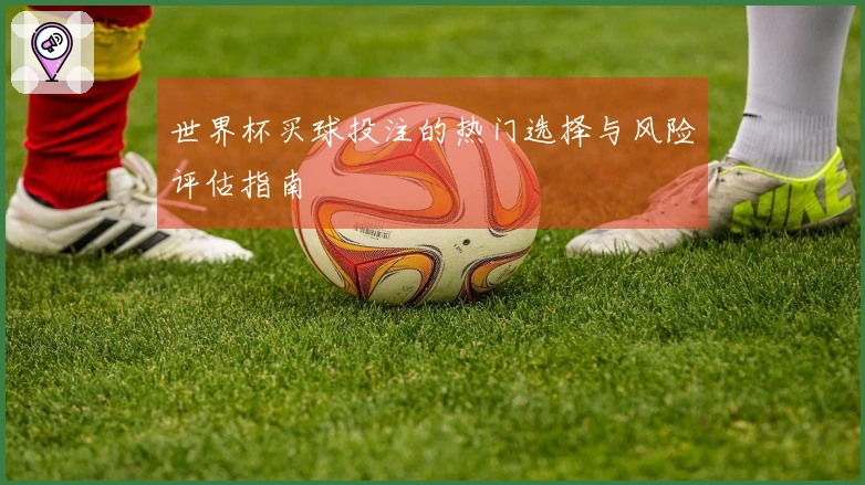 世界杯买球投注的热门选择与风险评估指南