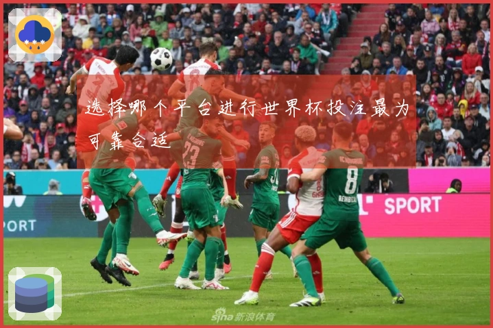 选择哪个平台进行世界杯投注最为可靠合适