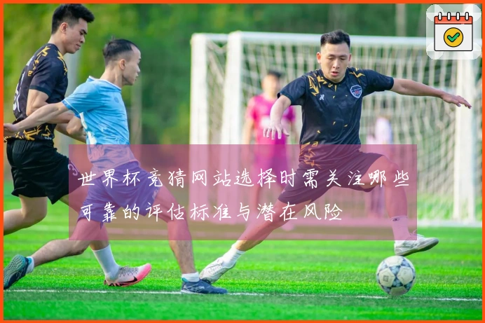 世界杯竞猜网站选择时需关注哪些可靠的评估标准与潜在风险