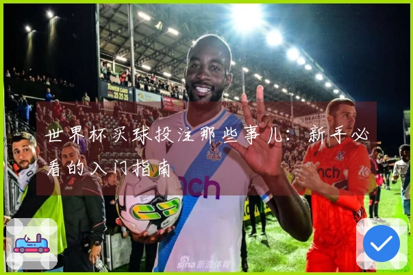 世界杯买球投注那些事儿：新手必看的入门指南