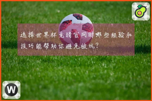 选择世界杯竞猜官网时哪些经验和技巧能帮助你避免被坑？