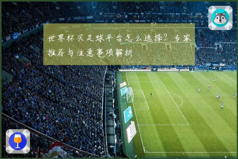 世界杯买足球平台怎么选择？专家推荐与注意事项解析