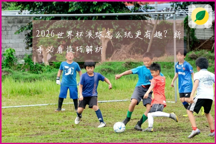 2026世界杯滚球怎么玩更有趣？新手必看技巧解析