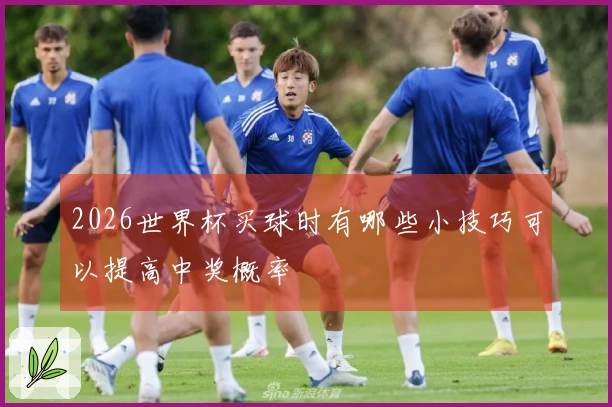 2026世界杯买球时有哪些小技巧可以提高中奖概率