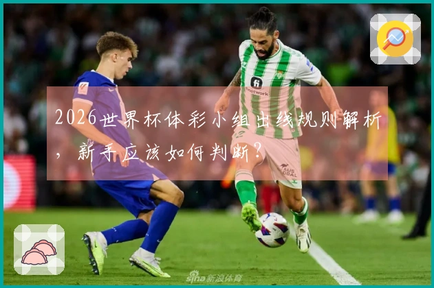 2026世界杯体彩小组出线规则解析，新手应该如何判断？