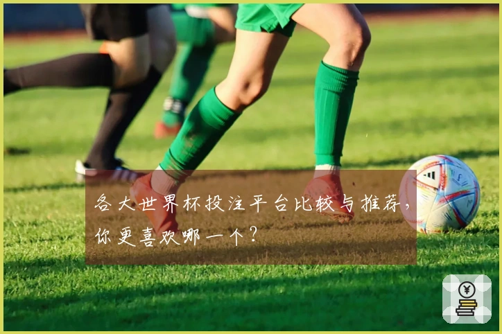 各大世界杯投注平台比较与推荐，你更喜欢哪一个？