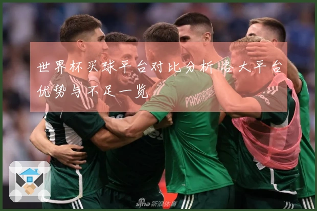 世界杯买球平台对比分析 各大平台优势与不足一览
