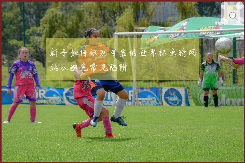 新手如何识别可靠的世界杯竞猜网站以避免常见陷阱