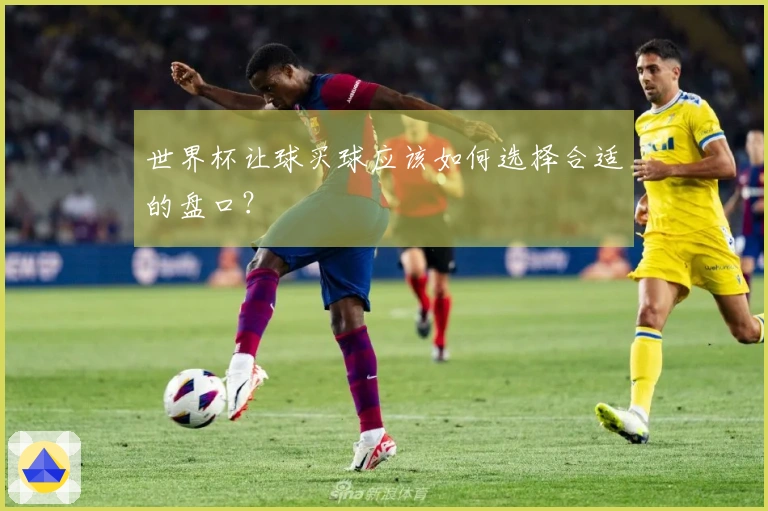 世界杯让球买球应该如何选择合适的盘口？
