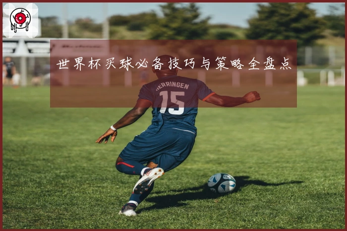 世界杯买球必备技巧与策略全盘点