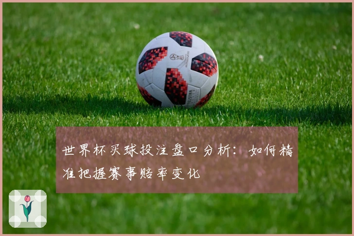 世界杯买球投注盘口分析：如何精准把握赛事赔率变化