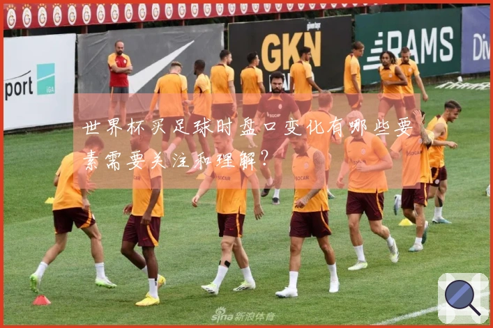 世界杯买足球时盘口变化有哪些要素需要关注和理解？