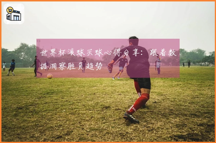世界杯滚球买球心得分享：跟着数据洞察胜负趋势