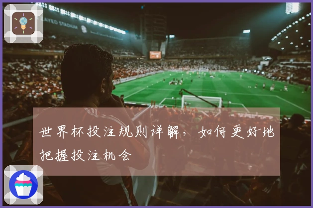 世界杯投注规则详解，如何更好地把握投注机会