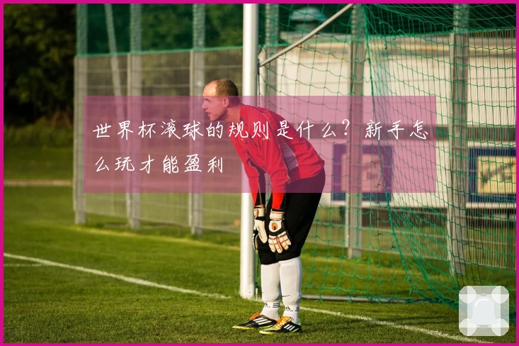 世界杯滚球的规则是什么？新手怎么玩才能盈利