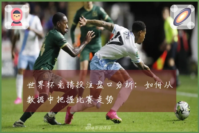 世界杯竞猜投注盘口分析：如何从数据中把握比赛走势