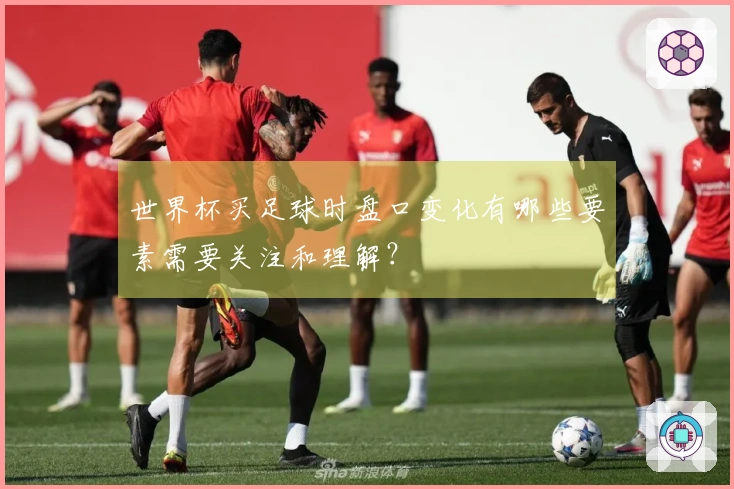 世界杯买足球时盘口变化有哪些要素需要关注和理解？