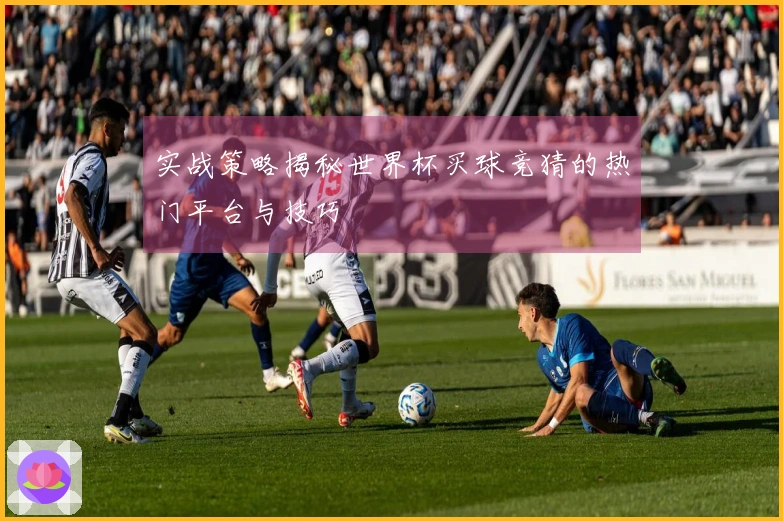 实战策略揭秘世界杯买球竞猜的热门平台与技巧